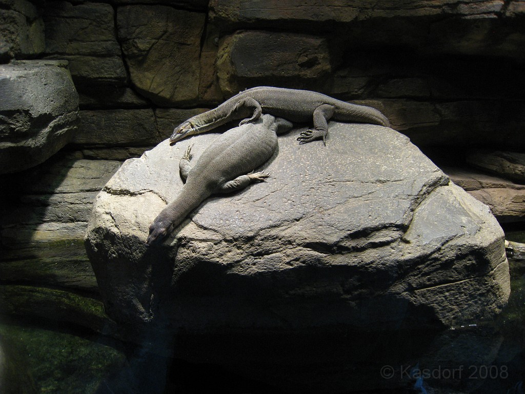 Baltimore MD 2009 2040.jpg - A 4th of July trip to Washington DC in 2009 included a stop in Baltimore MD to see the National Aquarium.